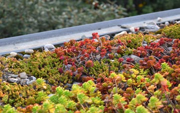 the cost of Llangynidr green roof installation