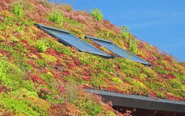 Llangynidr living roof systems